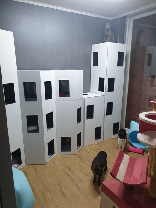 청주용달 PC 이미지 956887