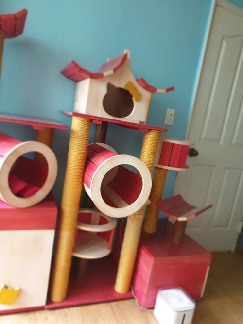 청주용달 PC 이미지 956906