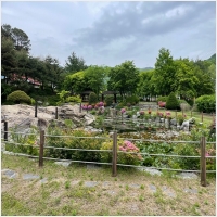 청주용달 PC 갤러리 17